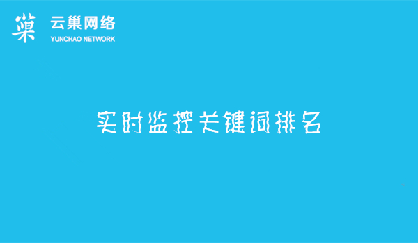 云巢SEO优化管理系统_每天实时监控关键词排名